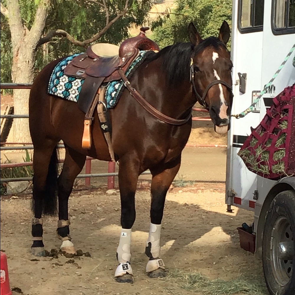 Meet your Posher, Arabella